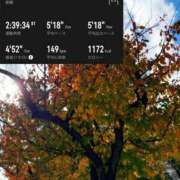 ヒメ日記 2025/11/16 17:14 投稿 椿こずえ ローテンブルク