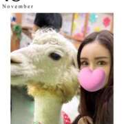 ヒメ日記 2025/11/18 21:08 投稿 椿こずえ ローテンブルク