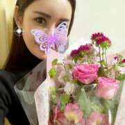 ヒメ日記 2025/11/23 21:31 投稿 椿こずえ ローテンブルク