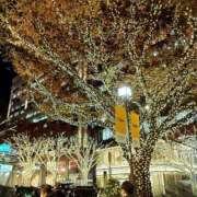 椿こずえ キラキラ ローテンブルク