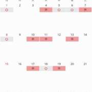 ヒメ日記 2026/01/24 07:45 投稿 椿こずえ ローテンブルク