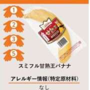 ヒメ日記 2026/02/28 19:03 投稿 椿こずえ ローテンブルク