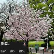 ヒメ日記 2026/03/25 21:21 投稿 椿こずえ ローテンブルク