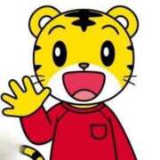 ヒメ日記 2026/03/26 21:37 投稿 椿こずえ ローテンブルク