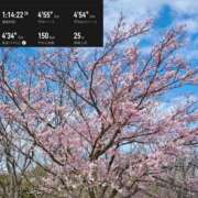 ヒメ日記 2026/03/27 13:10 投稿 椿こずえ ローテンブルク