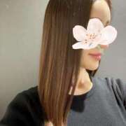 ヒメ日記 2026/04/16 09:24 投稿 椿こずえ ローテンブルク