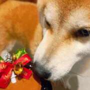 ヒメ日記 2024/12/25 00:05 投稿 あすか 梅田人妻秘密倶楽部