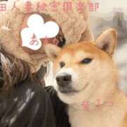 ヒメ日記 2025/01/22 21:20 投稿 あすか 梅田人妻秘密倶楽部