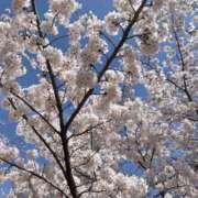 ヒメ日記 2025/04/03 23:00 投稿 あすか 梅田人妻秘密倶楽部