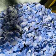 ヒメ日記 2025/05/26 23:05 投稿 あすか 梅田人妻秘密倶楽部