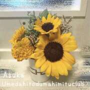 ヒメ日記 2025/07/29 21:30 投稿 あすか 梅田人妻秘密倶楽部