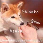 ヒメ日記 2025/08/06 22:00 投稿 あすか 梅田人妻秘密倶楽部