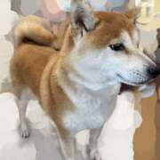 ヒメ日記 2026/02/03 20:00 投稿 あすか 梅田人妻秘密倶楽部