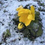 ヒメ日記 2026/02/08 09:00 投稿 あすか 梅田人妻秘密倶楽部