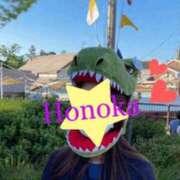 ヒメ日記 2025/03/28 14:35 投稿 ほのか 梅田人妻秘密倶楽部