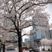 ヒメ日記 2025/04/08 14:50 投稿 ほのか 梅田人妻秘密倶楽部