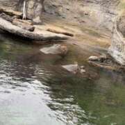 ヒメ日記 2024/12/11 21:20 投稿 まみ 梅田人妻秘密倶楽部