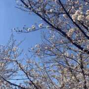 ヒメ日記 2025/04/07 16:50 投稿 まみ 梅田人妻秘密倶楽部