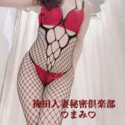 ヒメ日記 2025/04/12 15:10 投稿 まみ 梅田人妻秘密倶楽部