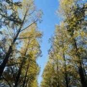 ヒメ日記 2025/11/16 15:25 投稿 まみ 梅田人妻秘密倶楽部