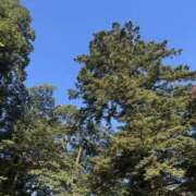 ヒメ日記 2025/11/23 17:25 投稿 まみ 梅田人妻秘密倶楽部