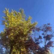 ヒメ日記 2025/11/27 16:05 投稿 まみ 梅田人妻秘密倶楽部