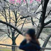 ヒメ日記 2026/03/29 20:25 投稿 まみ 梅田人妻秘密倶楽部