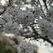 ヒメ日記 2026/04/05 21:50 投稿 まみ 梅田人妻秘密倶楽部