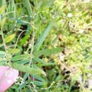 ヒメ日記 2025/04/27 09:01 投稿 ねね 浜松人妻援護会