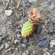 ヒメ日記 2025/09/22 09:33 投稿 ねね 浜松人妻援護会