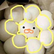 ヒメ日記 2026/02/22 09:02 投稿 ねね 浜松人妻援護会