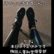 ヒメ日記 2025/03/08 08:55 投稿 りさ 梅田人妻秘密倶楽部