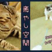 ヒメ日記 2025/03/10 17:35 投稿 りさ 梅田人妻秘密倶楽部
