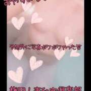 ヒメ日記 2025/03/16 23:15 投稿 りさ 梅田人妻秘密倶楽部