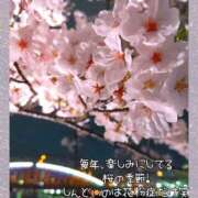 ヒメ日記 2025/03/31 18:45 投稿 りさ 梅田人妻秘密倶楽部
