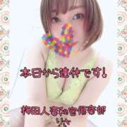 ヒメ日記 2025/04/01 16:35 投稿 りさ 梅田人妻秘密倶楽部