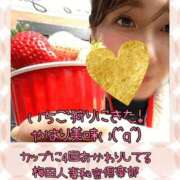 ヒメ日記 2025/04/06 11:30 投稿 りさ 梅田人妻秘密倶楽部