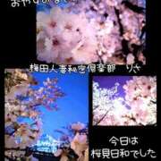 ヒメ日記 2025/04/09 00:05 投稿 りさ 梅田人妻秘密倶楽部