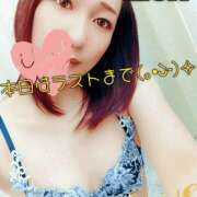 ヒメ日記 2025/11/14 22:10 投稿 りさ 梅田人妻秘密倶楽部