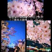 ヒメ日記 2026/03/31 23:05 投稿 りさ 梅田人妻秘密倶楽部