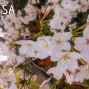 ヒメ日記 2026/04/03 22:05 投稿 りさ 梅田人妻秘密倶楽部