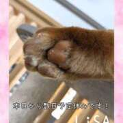 ヒメ日記 2026/08/24 15:35 投稿 りさ 梅田人妻秘密倶楽部