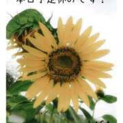ヒメ日記 2026/09/27 11:45 投稿 りさ 梅田人妻秘密倶楽部