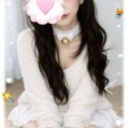 ヒメ日記 2026/02/22 21:17 投稿 あかり「あかり」 ピュアセレクラブ