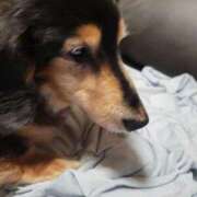 ヒメ日記 2025/08/13 15:22 投稿 カスミ AMOUR（アムール）