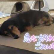 ヒメ日記 2025/08/23 19:25 投稿 カスミ AMOUR（アムール）