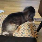 ヒメ日記 2025/09/01 11:05 投稿 カスミ AMOUR（アムール）