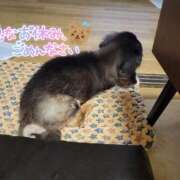 ヒメ日記 2025/09/14 19:37 投稿 カスミ AMOUR（アムール）