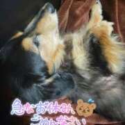 ヒメ日記 2025/11/13 19:32 投稿 カスミ AMOUR（アムール）