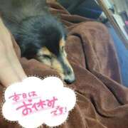 ヒメ日記 2025/12/27 19:02 投稿 カスミ AMOUR（アムール）